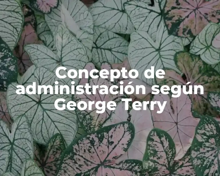 Concepto de administración según George Terry