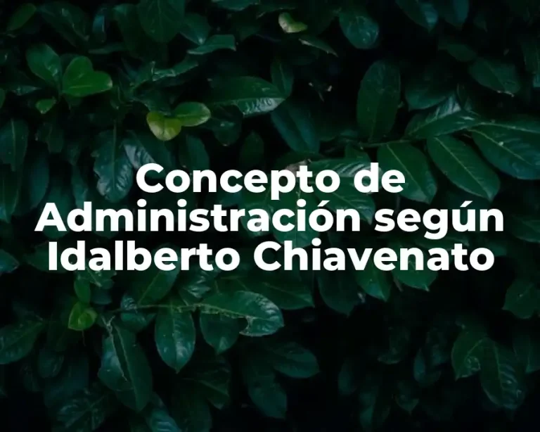 Concepto de Administración según Idalberto Chiavenato