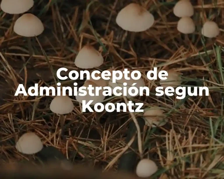 Concepto de Administración segun Koontz
