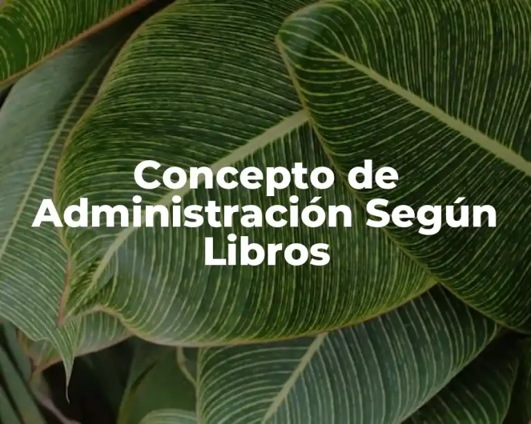 Concepto de Administración Según Libros