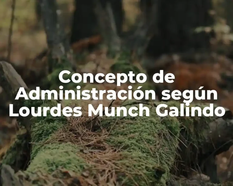 Concepto de Administración según Lourdes Munch Galindo