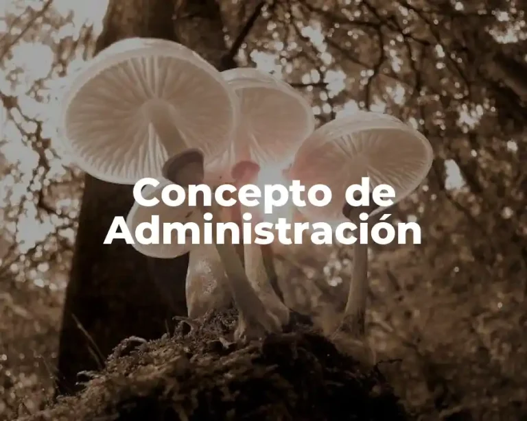 Concepto de Administración