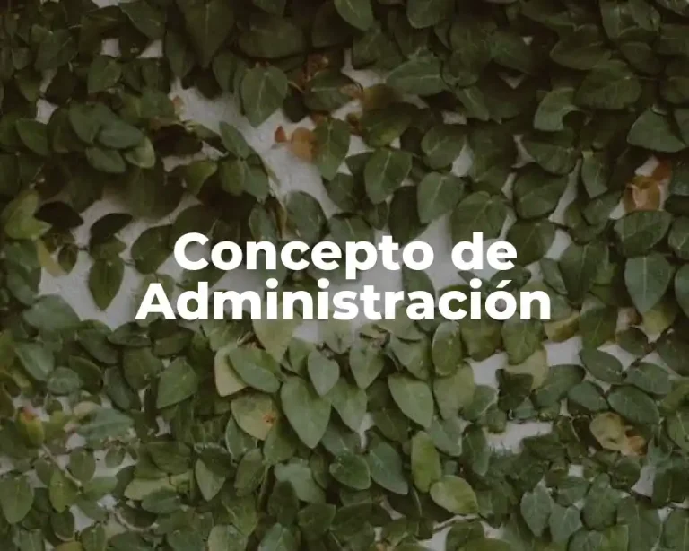 Concepto de Administración