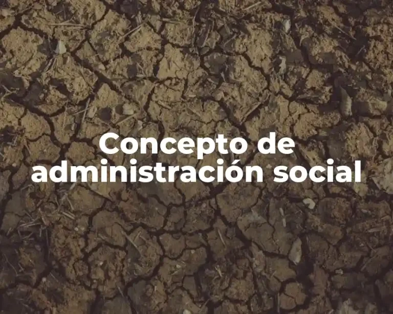 Concepto de administración social
