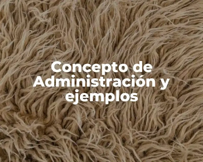 Concepto de Administración y ejemplos