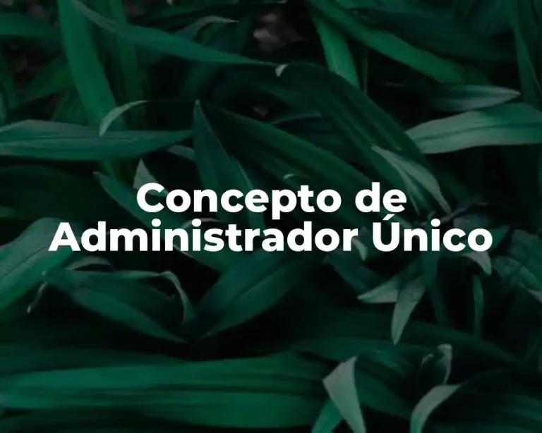 Concepto de Administrador Único