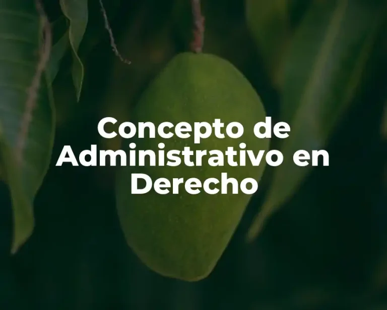 Concepto de Administrativo en Derecho
