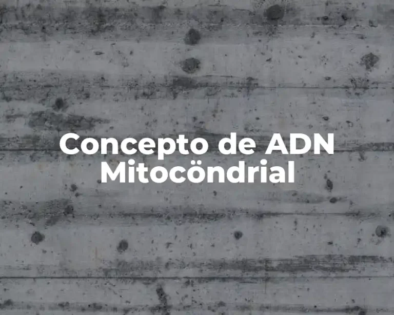 Concepto de ADN Mitocöndrial