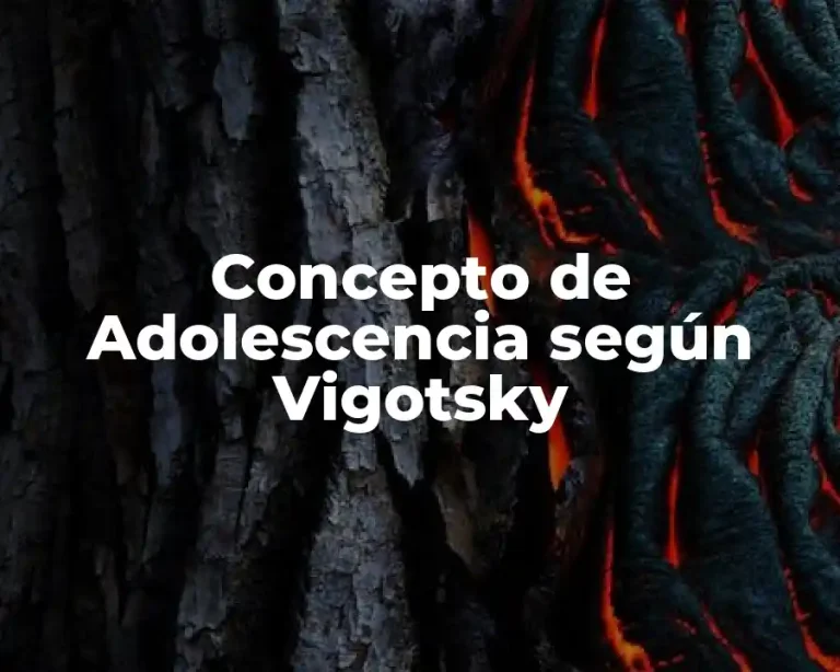 Concepto de Adolescencia según Vigotsky