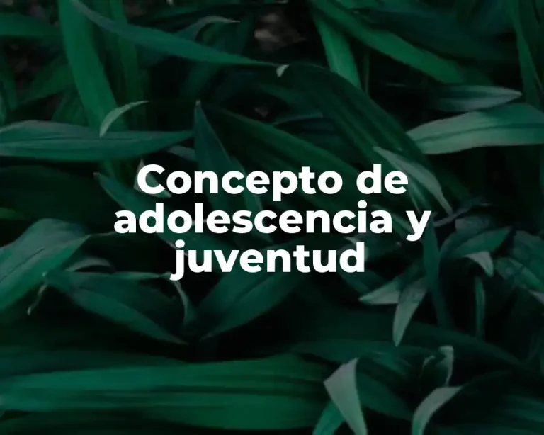 Concepto de adolescencia y juventud