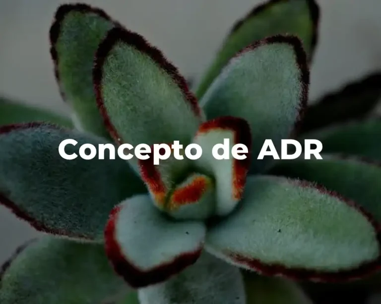 Concepto de ADR