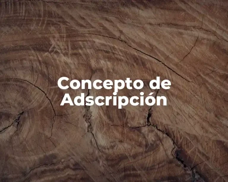 Concepto de Adscripción