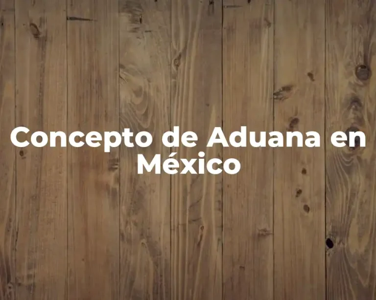 Concepto de Aduana en México