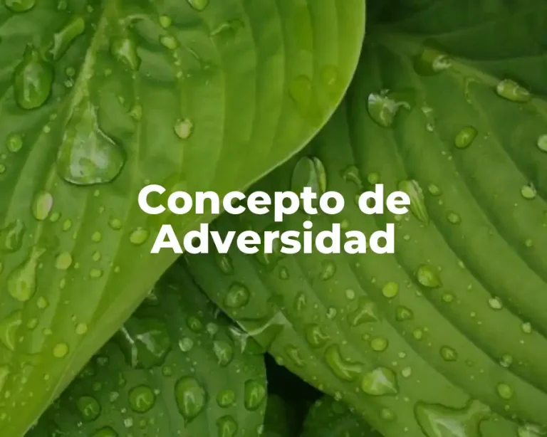 Concepto de Adversidad