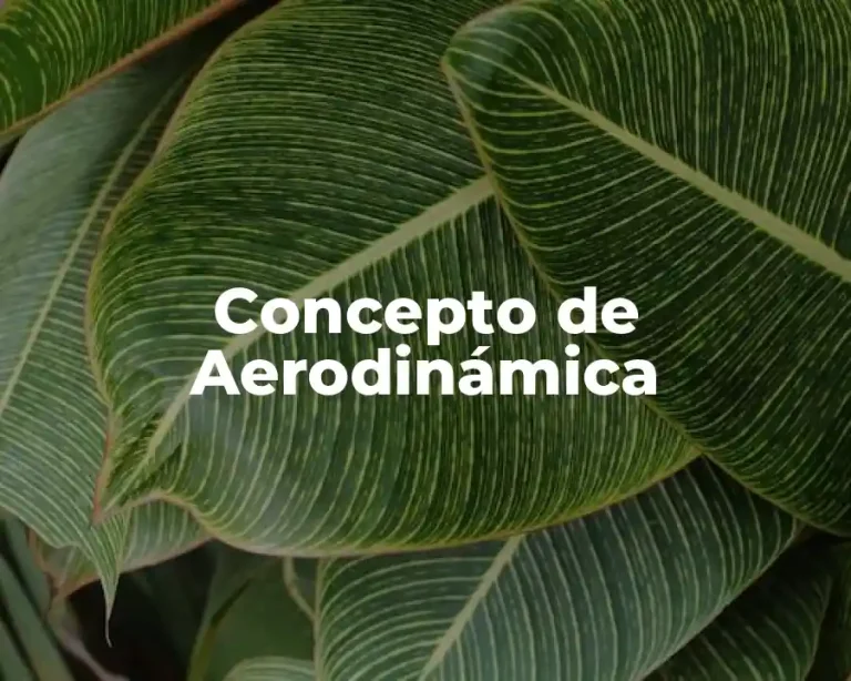 Concepto de Aerodinámica