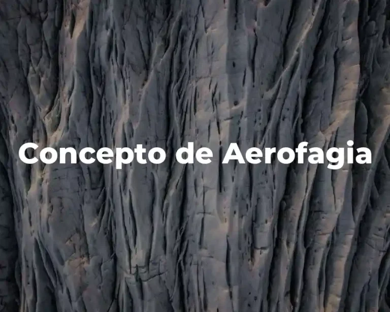 Concepto de Aerofagia