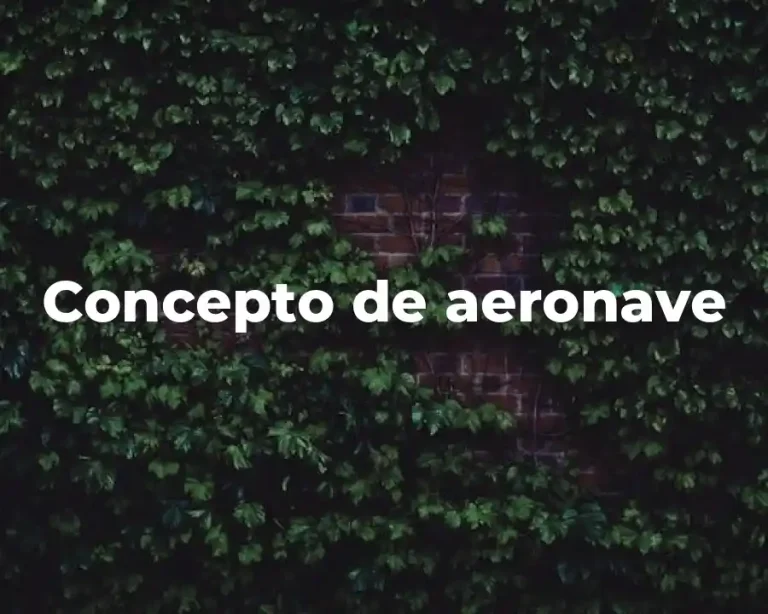 Concepto de aeronave