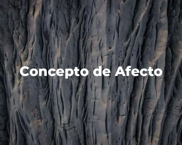 Concepto de Afecto