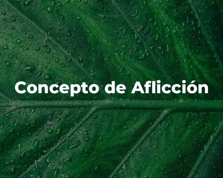 Concepto de Aflicción