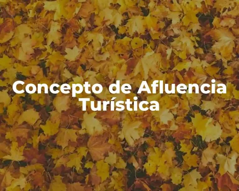 Concepto de Afluencia Turística