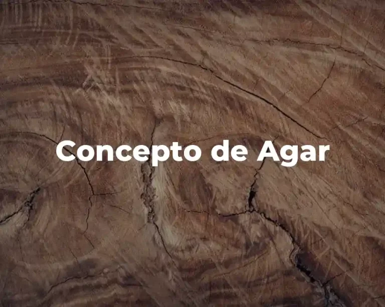 Concepto de Agar