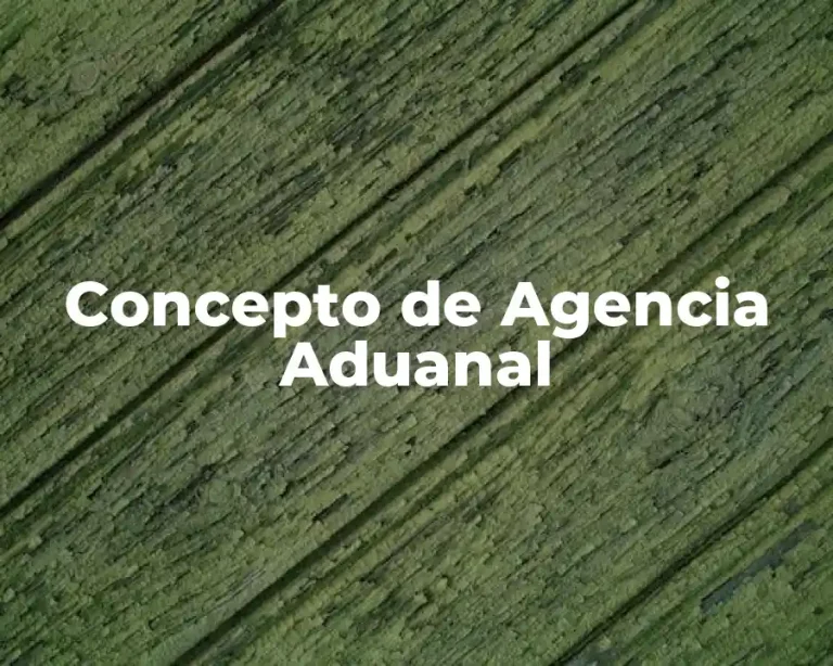 Concepto de Agencia Aduanal