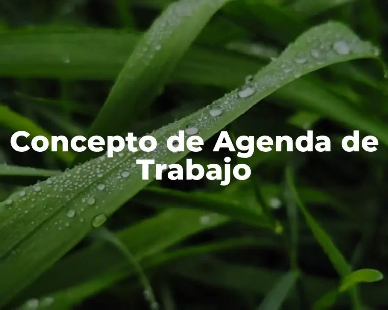 Concepto de Agenda de Trabajo