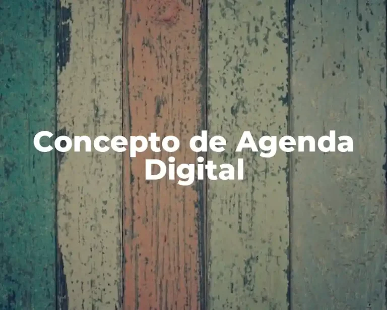 Concepto de Agenda Digital