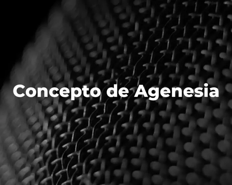 Concepto de Agenesia