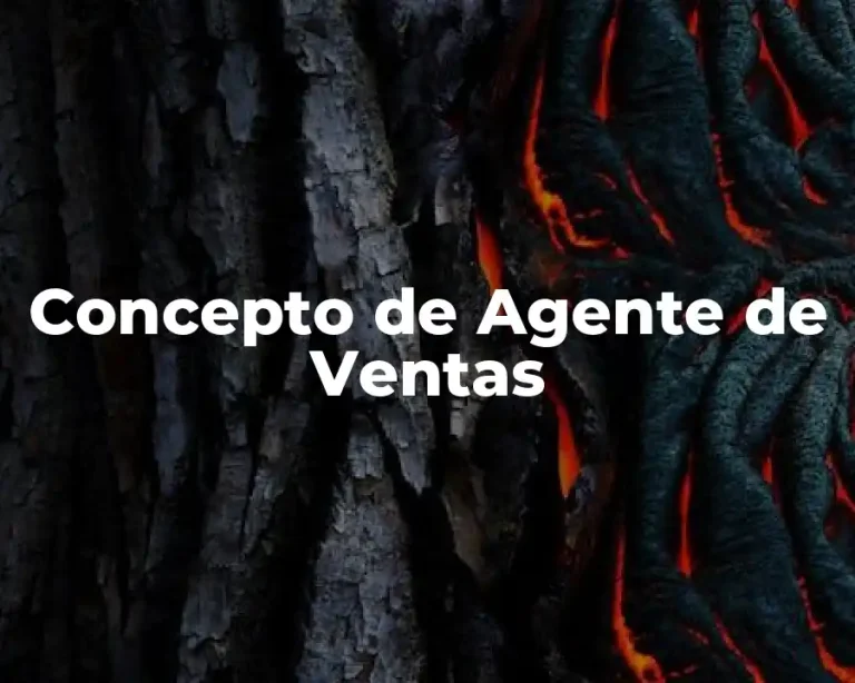 Concepto de Agente de Ventas