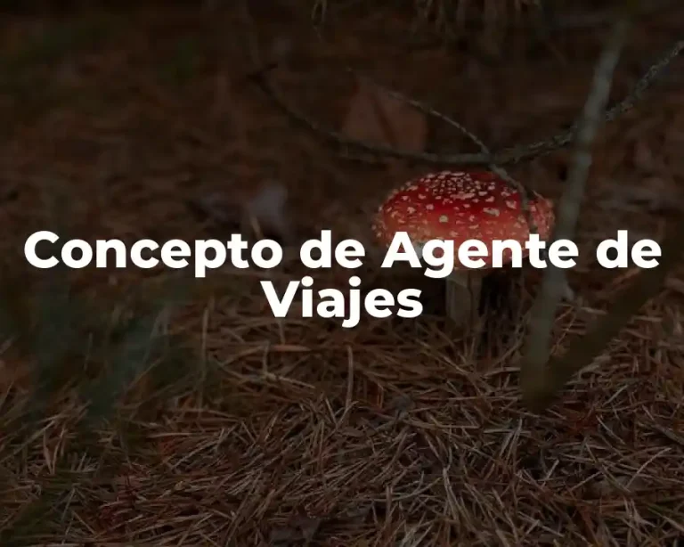 Concepto de Agente de Viajes