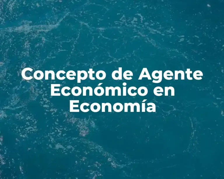 Concepto de Agente Económico en Economía