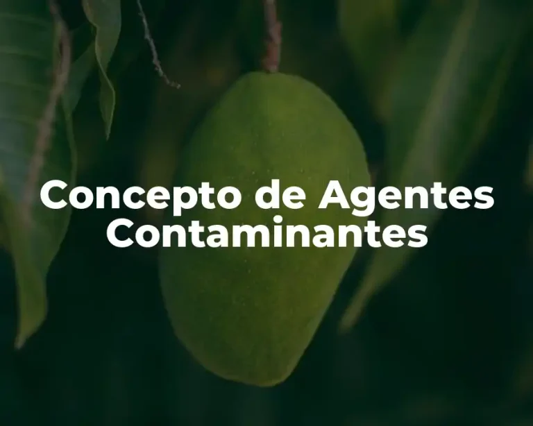Concepto de Agentes Contaminantes