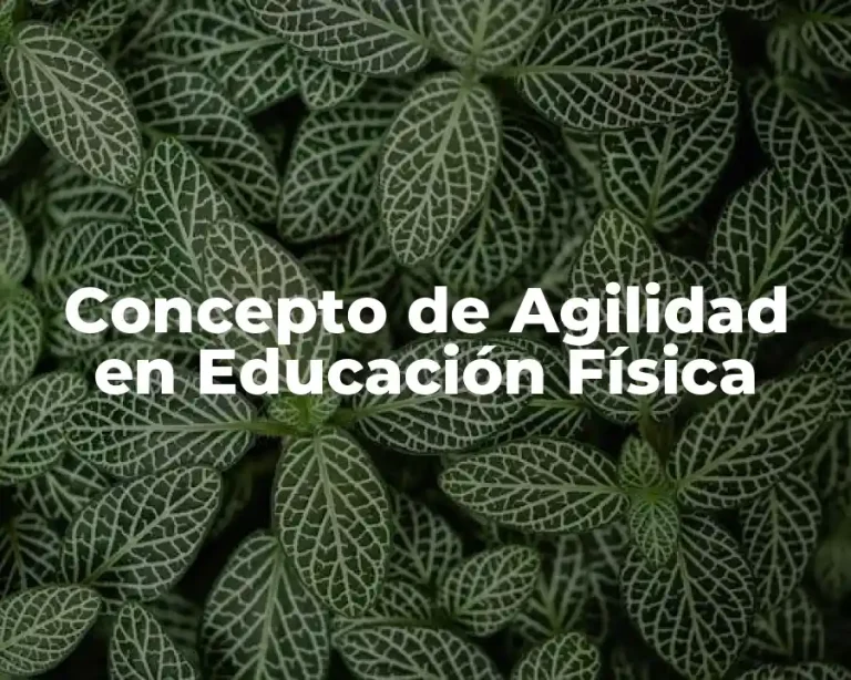 Concepto de Agilidad en Educación Física