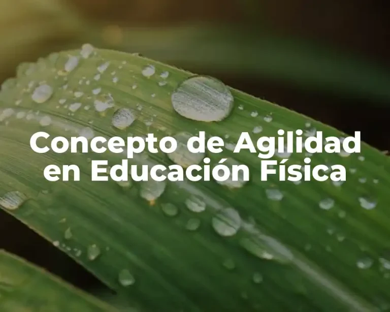 Concepto de Agilidad en Educación Física