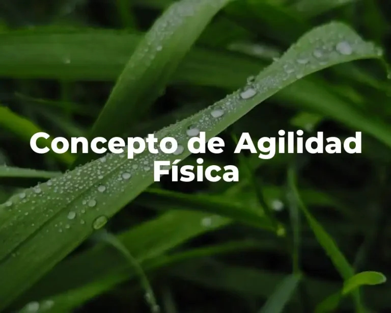 Concepto de Agilidad Física