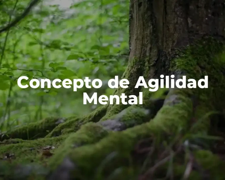 Concepto de Agilidad Mental