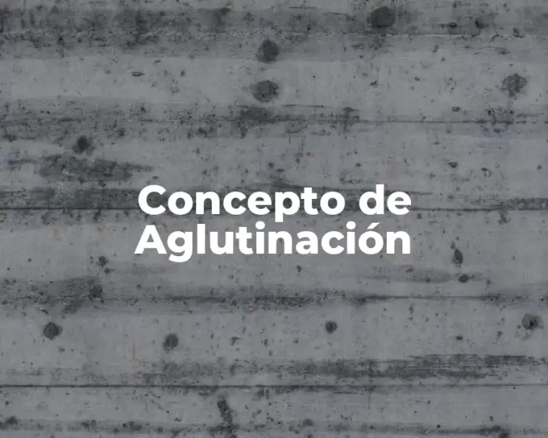 Concepto de Aglutinación