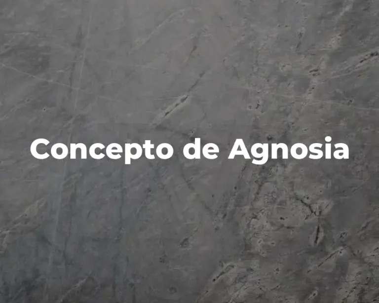 Concepto de Agnosia