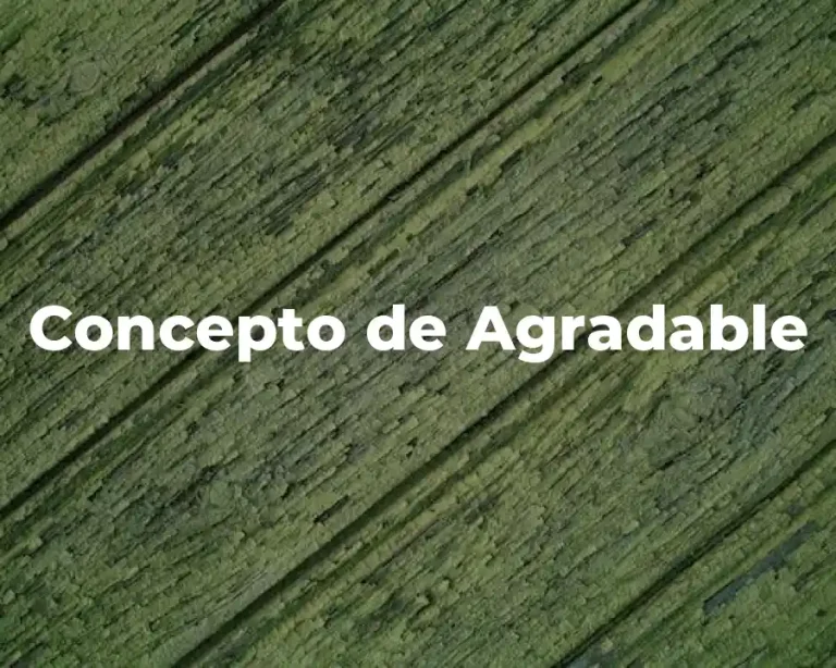 Concepto de Agradable