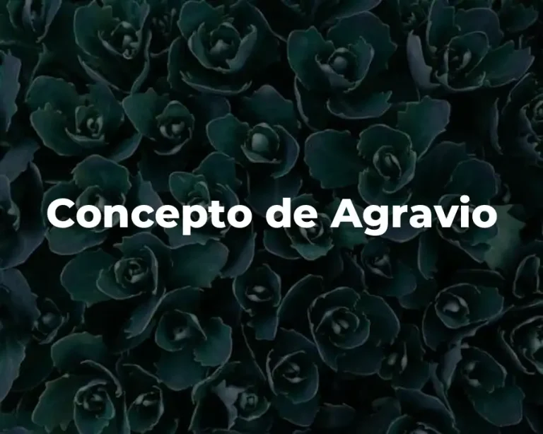Concepto de Agravio