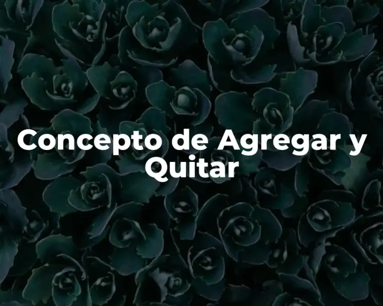 Concepto de Agregar y Quitar