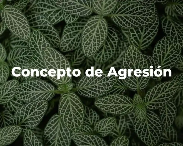 Concepto de Agresión