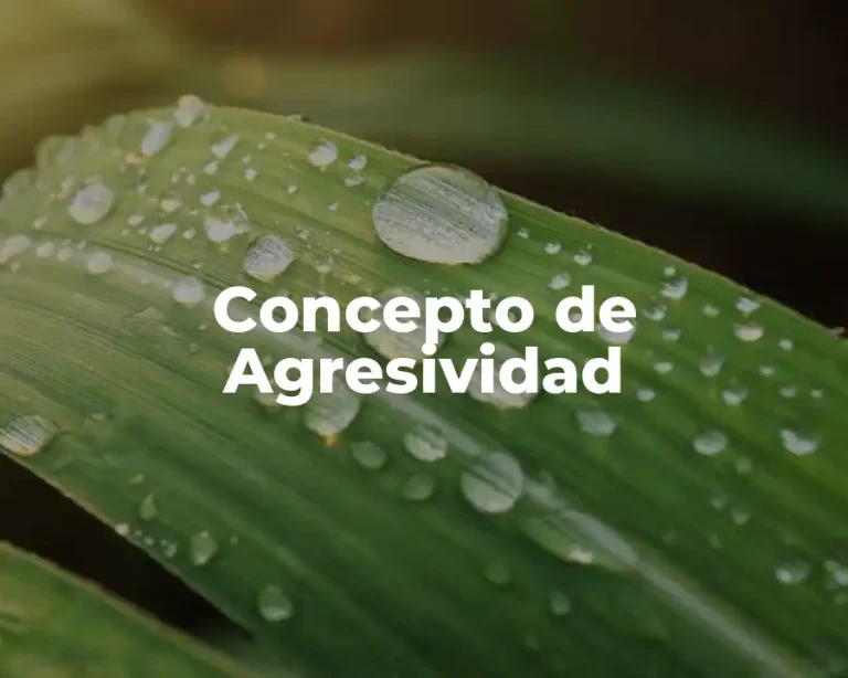 Concepto de Agresividad