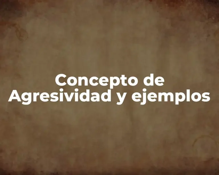 Concepto de Agresividad y ejemplos