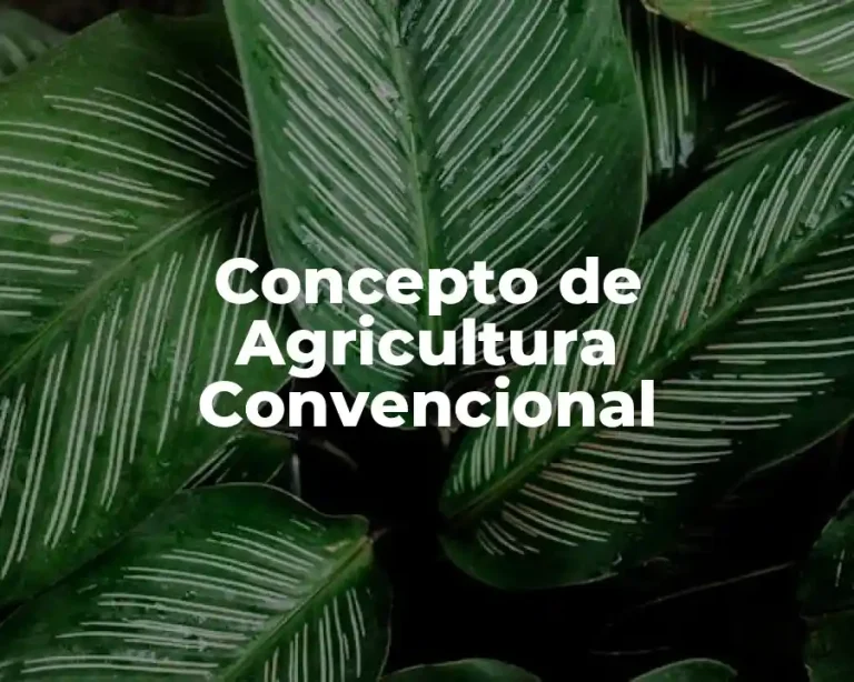 Concepto de Agricultura Convencional