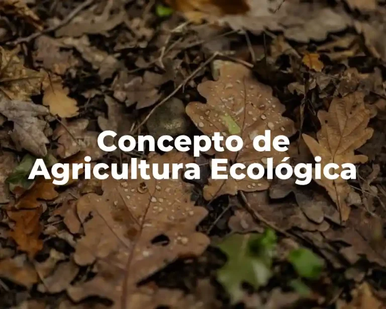 Concepto de Agricultura Ecológica