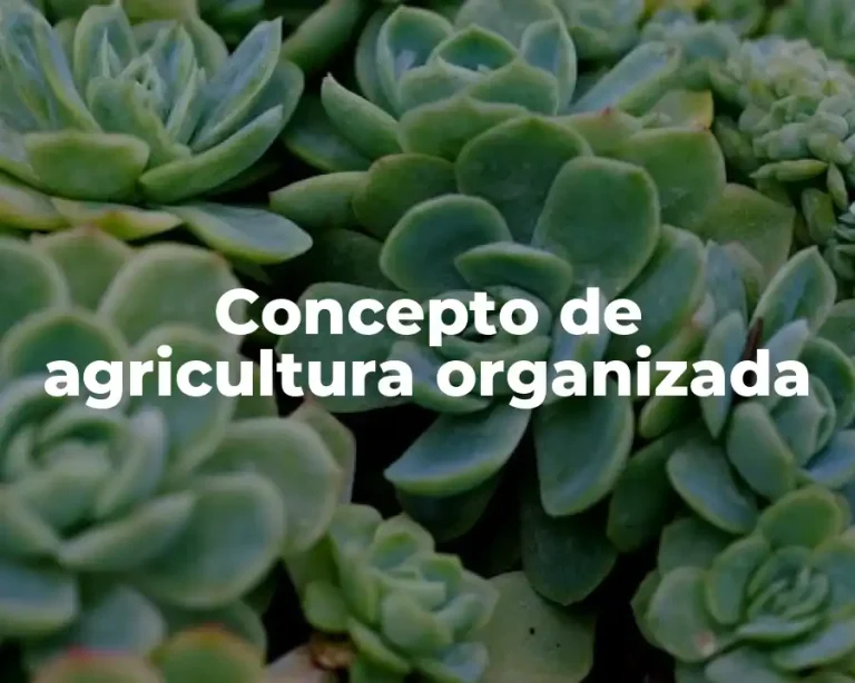 Concepto de agricultura organizada