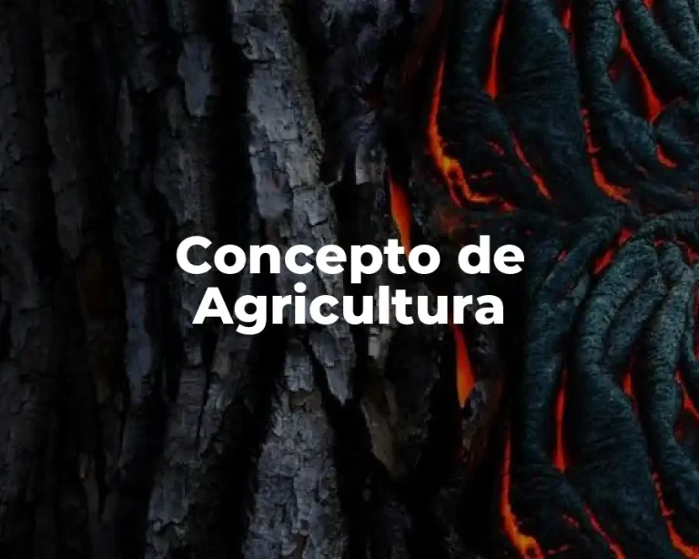 Concepto de Agricultura