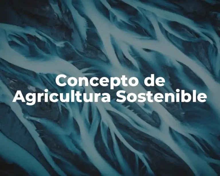 Concepto de Agricultura Sostenible